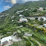 Di Gesualda *