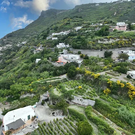 Di Gesualda *